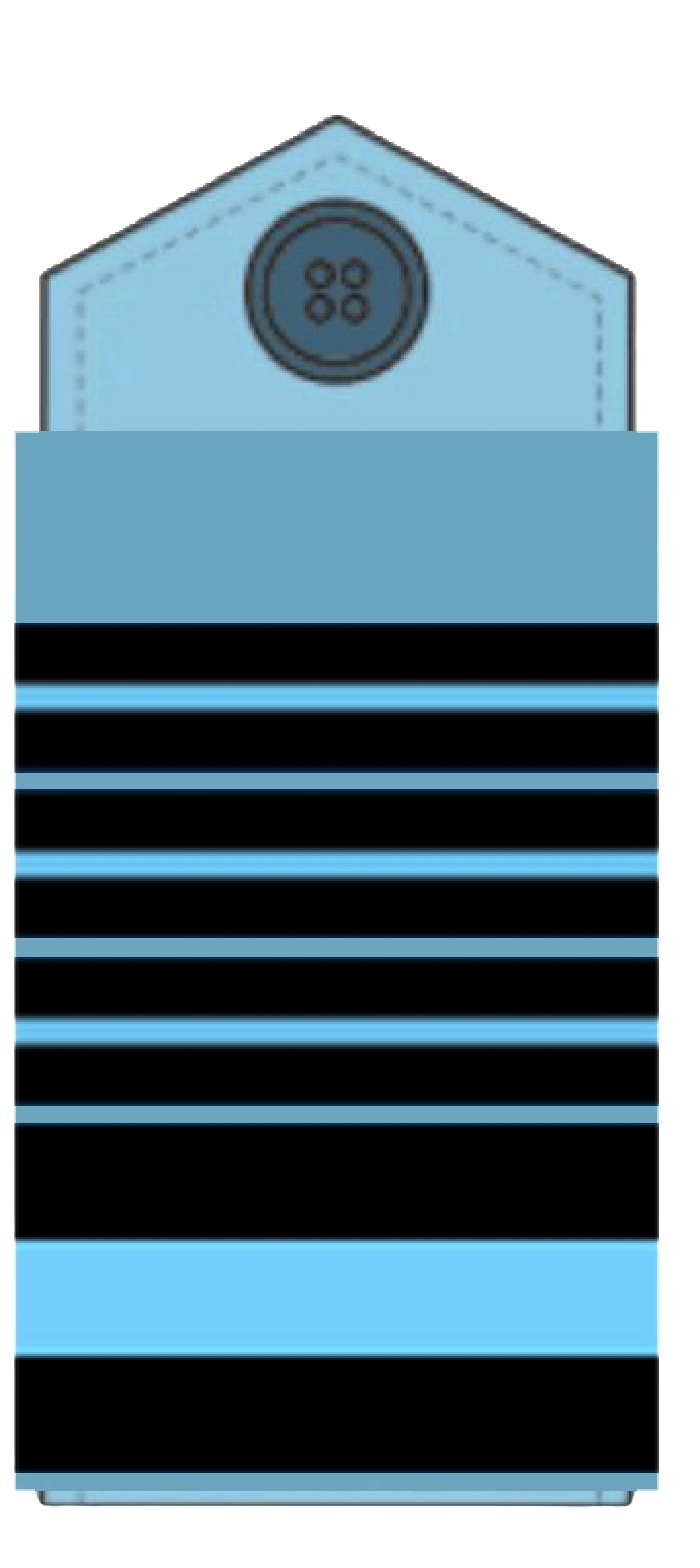 Air Chief Marshal