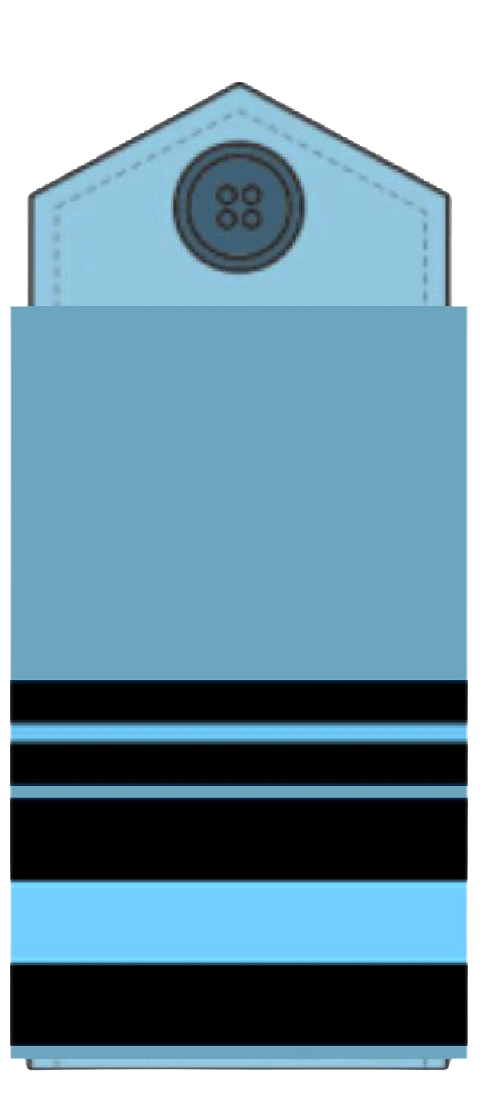 Air Vice Marshal