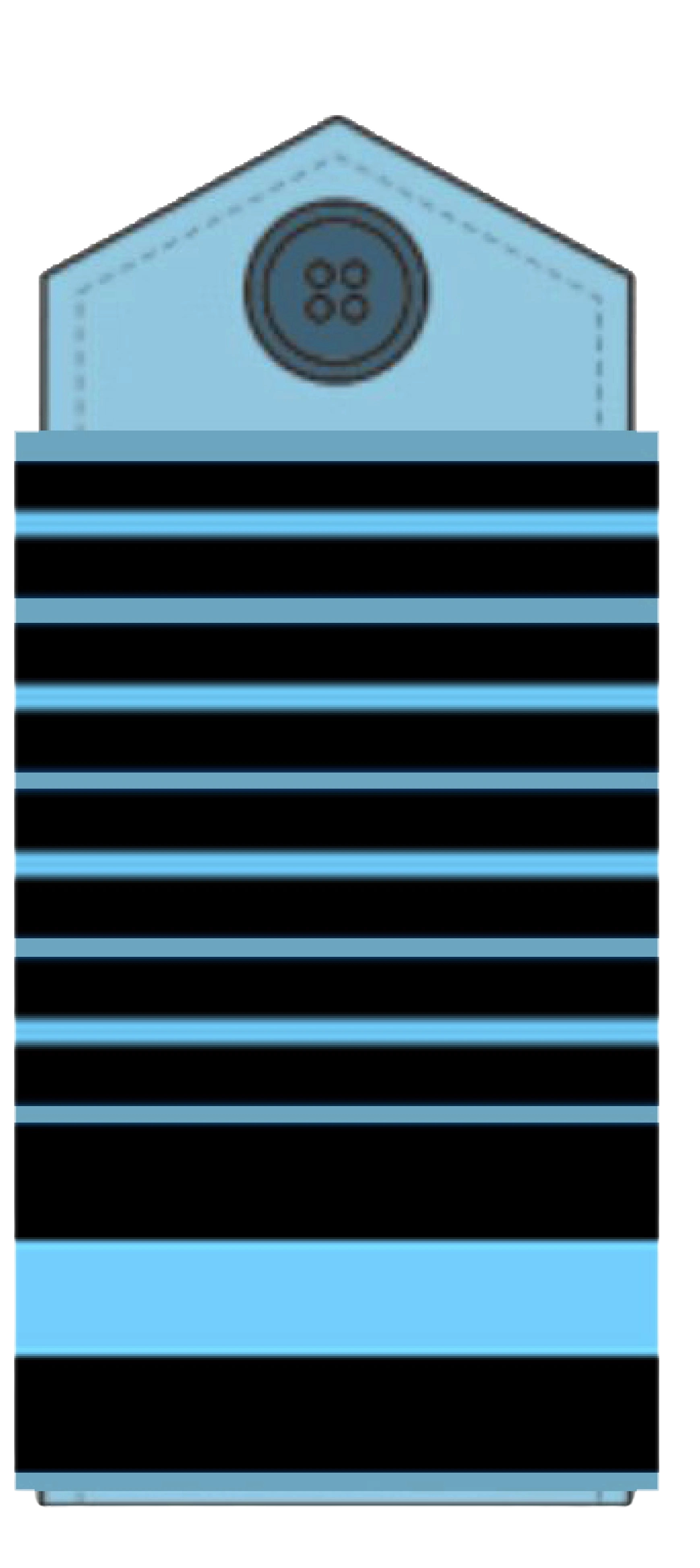 Marshal of AF