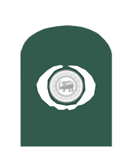 Warrant Officer Class I