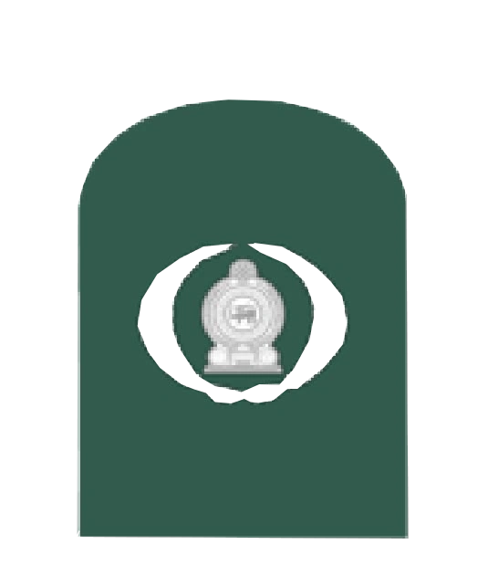 Warrant Officer Class II