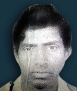 WEG Fernando