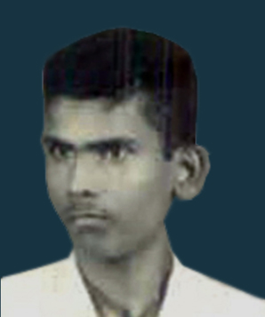 SD Vikmal