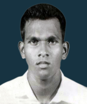 WP Alwis