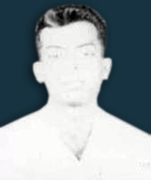 WMS Perera
