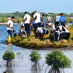 Neela Haritha - Sri Lanka Navy Green Navy Environmental Project